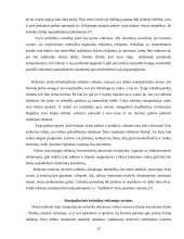 Manipuliacijos reklamoje 13 puslapis