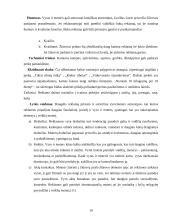 Manipuliacijos reklamoje 10 puslapis