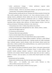 Reklamos įtaka paaugliams 11 puslapis