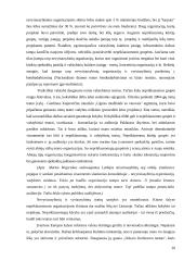 Rinkodaros komplekso elementai teatre 20 puslapis