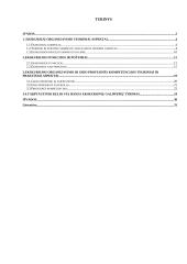 Ekskursijų organizavimo specifika