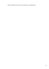 Ekskursijų organizavimo specifika 3 puslapis