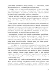 Ežerai kaip turistinis išteklis 12 puslapis