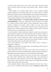 Ežerai kaip turistinis išteklis 15 puslapis