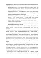 Ežerai kaip turistinis išteklis 17 puslapis