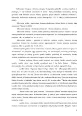 Ežerai kaip turistinis išteklis 5 puslapis