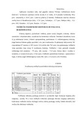 Turizmo paslaugų vartotojų elgsenos ypatumai 19 puslapis