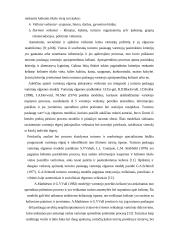 Turizmo paslaugų vartotojų elgsenos ypatumai 5 puslapis