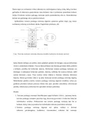 Turizmo paslaugų vartotojų elgsenos ypatumai 7 puslapis