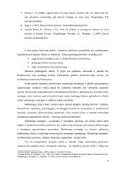 Kaimo turizmo publikacijų analizė 6 puslapis