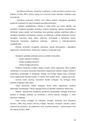 Mobilių duomenų perdavimo paslaugos vystymo strateginių pasirinkimų įvertinimas 20 puslapis