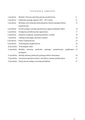 Mobilių duomenų perdavimo paslaugos vystymo strateginių pasirinkimų įvertinimas 3 puslapis