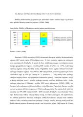 Mobilių duomenų perdavimo paslaugos vystymo strateginių pasirinkimų įvertinimas 10 puslapis