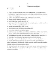 INFORMACIJOS SISTEMOS PROJEKTAVIMAS 7 puslapis