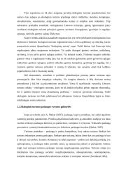 Ekologinio turizmo paslaugos vystymo galimybės 11 puslapis