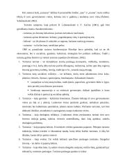 Ekologinio turizmo paslaugos vystymo galimybės 4 puslapis