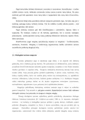 Ekologinio turizmo paslaugos vystymo galimybės 8 puslapis