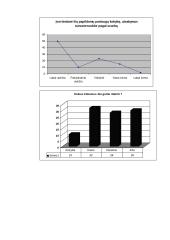 Miesto kelionių agentūrų paslaugų tiekimo praktinis tyrimas 11 puslapis