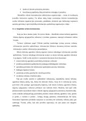 Miesto kelionių agentūrų paslaugų tiekimo praktinis tyrimas 3 puslapis