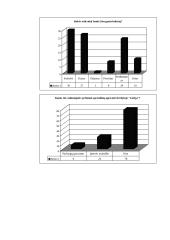 Miesto kelionių agentūrų paslaugų tiekimo praktinis tyrimas 10 puslapis