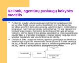 Panevėžio miesto kelionių agentūros paslaugų tiekimo ypatumai 13 puslapis