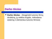 Panevėžio miesto kelionių agentūros paslaugų tiekimo ypatumai 3 puslapis