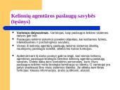 Panevėžio miesto kelionių agentūros paslaugų tiekimo ypatumai 7 puslapis