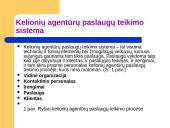 Panevėžio miesto kelionių agentūros paslaugų tiekimo ypatumai 10 puslapis