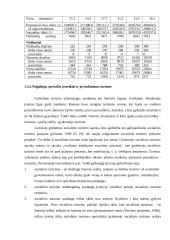 Neįgaliųjų turizmas  13 puslapis