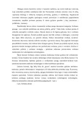 Neįgaliųjų turizmas  20 puslapis