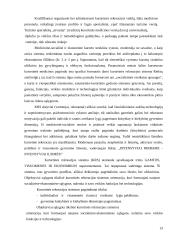 Poilsiautojų veikla 13 puslapis