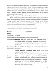 Poilsiautojų veikla 7 puslapis