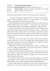 Poilsiautojų veikla 8 puslapis