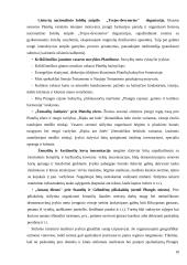 Poilsiautojų veikla 10 puslapis