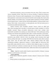 Panevėžio rajono savivaldybės administracijos Karsakiškio seniūnijoje praktikos darbas 2 puslapis