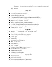 Panevėžio rajono savivaldybės administracijos Karsakiškio seniūnijoje praktikos darbas 15 puslapis