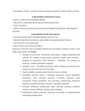 Panevėžio rajono savivaldybės administracijos Karsakiškio seniūnijoje praktikos darbas 17 puslapis