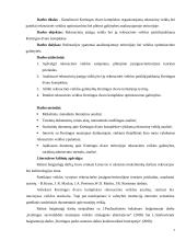 Rekreacinės veiklos analizė Kretingos dvaro komplekse 7 puslapis