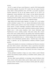 Siaurasis geležinkelis Lietuvoje 13 puslapis