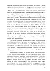 Siaurasis geležinkelis Lietuvoje 17 puslapis