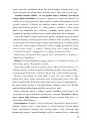 Reljefai turizmui 12 puslapis