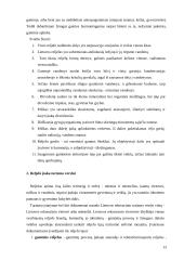 Reljefai turizmui 13 puslapis