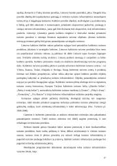 Reljefai turizmui 17 puslapis