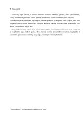 Slovakijos turistų maitinimas 18 puslapis