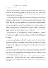 Slovakijos turistų maitinimas 5 puslapis