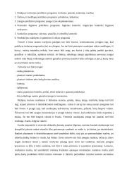 Slovakijos turistų maitinimas 7 puslapis