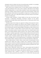 Slovakijos turistų maitinimas 8 puslapis