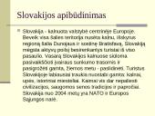 Slovakijos turistų maitinimo organizavimas 4 puslapis