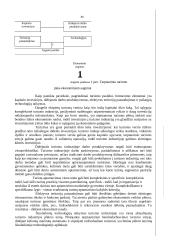 Tarptautinio turizmo įtaka ekonominiam augimui 3 puslapis