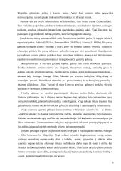 Turistinės kelionės autobusu Klaipedoje 4 puslapis